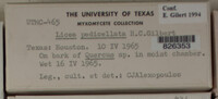 Image Associated With the Occurence